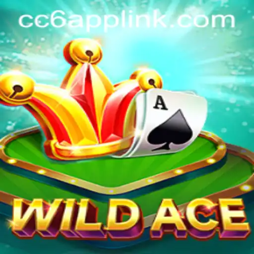 Exploring WildAce: A Thrilling Journey into the World of Competitive Strategy